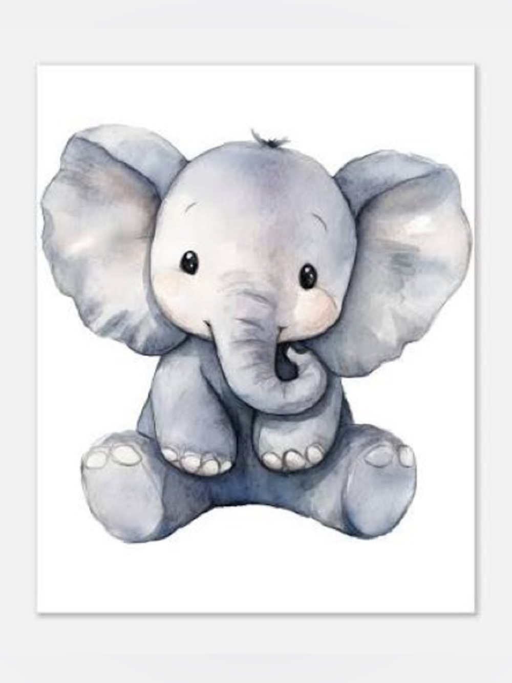 ELEPHANT BUNDLE